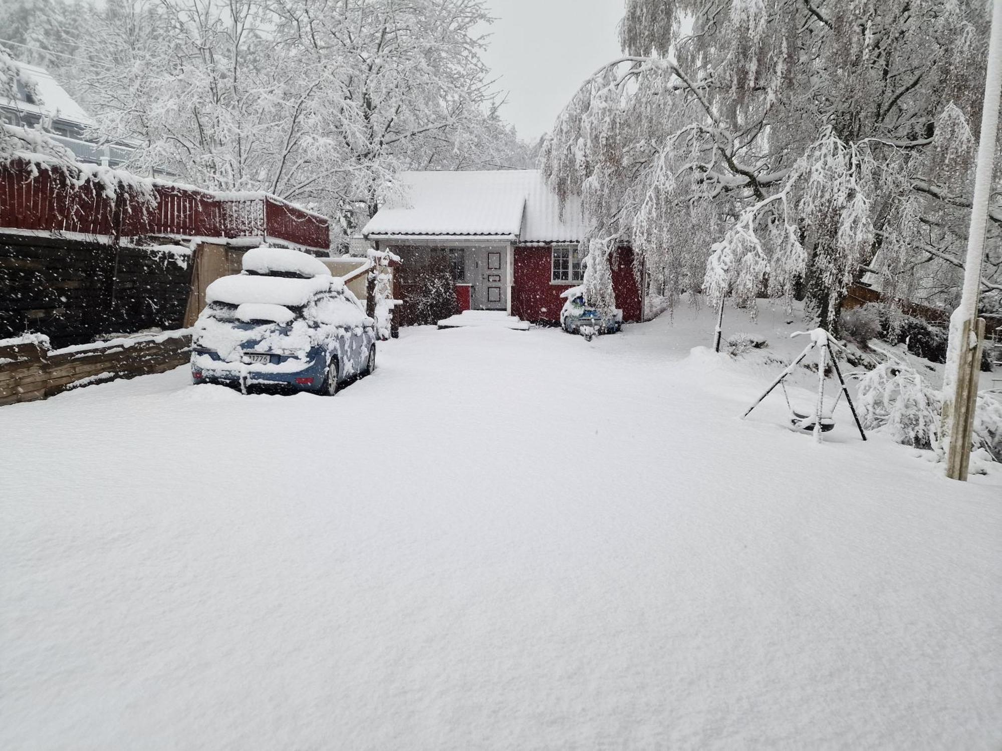 Koselig Anneks I Heggedal! Villa Asker Exterior foto